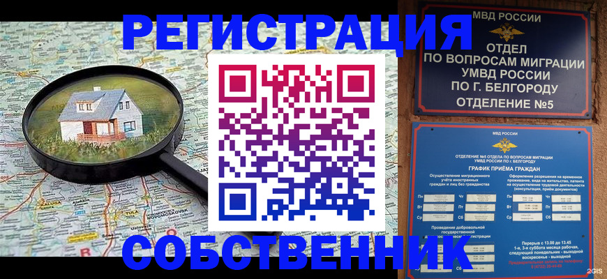 регистрация для школы в Камешково